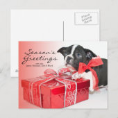 Sweet Boston Terrier puppy Briefkaart (Voorkant / Achterkant)