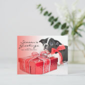 Sweet Boston Terrier puppy Briefkaart (Staand voorkant)