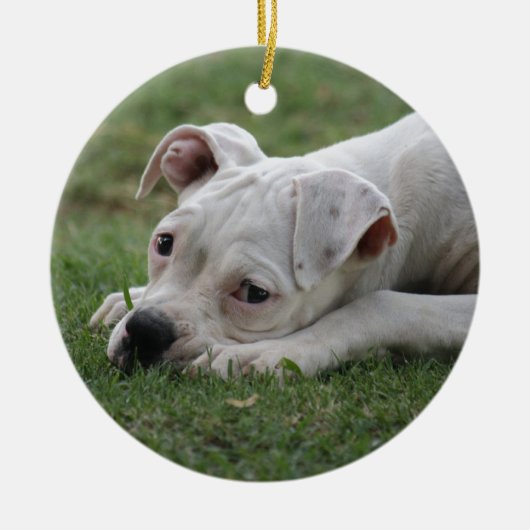 Sweet Boxer Puppy Keramisch Ornament (Voorkant)