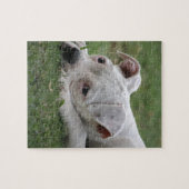 Sweet Boxer Puppy Legpuzzel (Horizontaal)