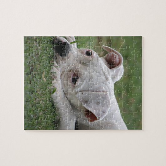 Sweet Boxer Puppy Legpuzzel (Horizontaal)