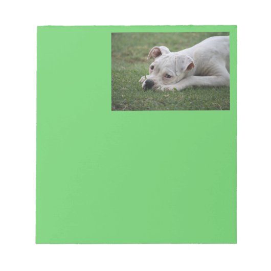 Sweet Boxer Puppy Notitieblok (Voorkant)