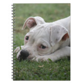 Sweet Boxer Puppy Notitieboek (Voorkant)