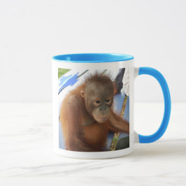 Sweet Boy Orangutan Mok