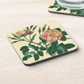 Sweet Briar-Roos Bier Onderzetter (Linkerzijde)