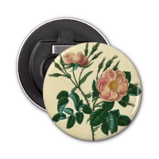 Sweet Briar-Roos Button Flesopener (Voorkant)