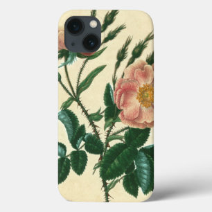 Sweet Briar-Roos Case-Mate iPhone Case