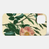 Sweet Briar-Roos Case-Mate iPhone Case (Achterkant (horizontaal))