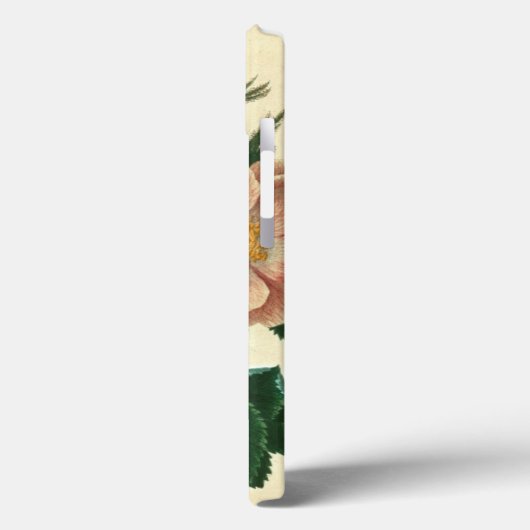 Sweet Briar-Roos Case-Mate iPhone Case (Achterkant / Links)