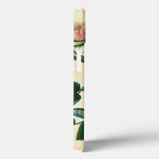 Sweet Briar-Roos Case-Mate iPhone Case (Achterkant / Rechts)