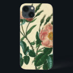 Sweet Briar-Roos iPhone 13 Hoesje<br><div class="desc">Floral</div>