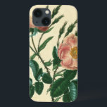 Sweet Briar-Roos iPhone 13 Hoesje<br><div class="desc">Floral</div>