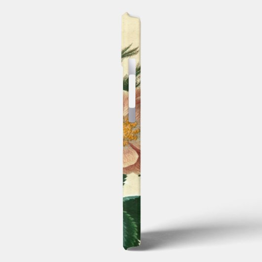 Sweet Briar-Roos Case-Mate iPhone Case (Achterkant / Links)