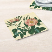 Sweet Briar-Roos Kartonnen Onderzetters (Schuin)