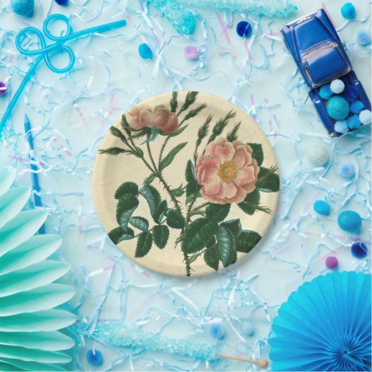 Sweet Briar-Roos Papieren Bordje (Feest)