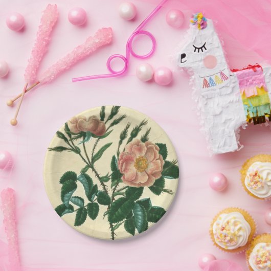 Sweet Briar-Roos Papieren Bordje (Feest)
