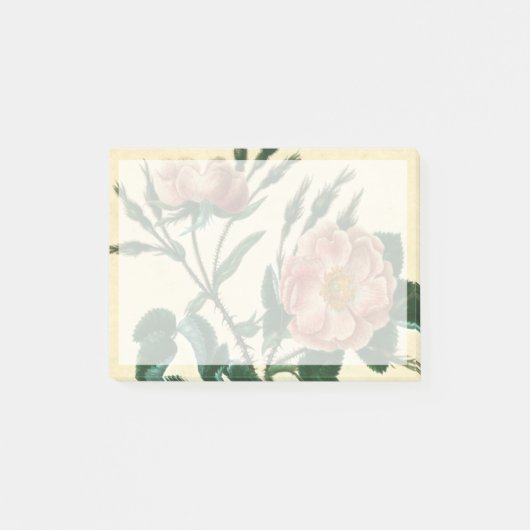 Sweet Briar-Roos Post-it® Notes (Voorkant)
