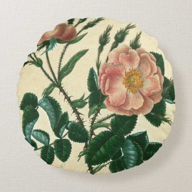 Sweet Briar-Roos Rond Kussen (Voorkant)