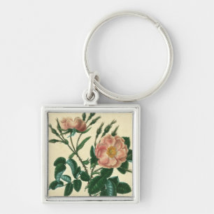 Sweet Briar-Roos Sleutelhanger