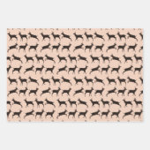 Sweet Bucks Inpakpapier Vel (Voorkant)