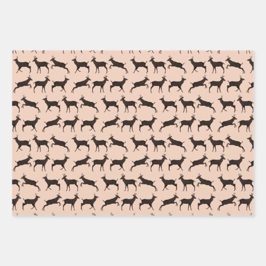 Sweet Bucks Inpakpapier Vel (Voorkant)