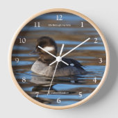 Sweet Bufflehead Duck op Sunlit Watts (Voorkant)