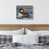 Sweet Bufflehead Duck op Sunlit Watts Canvas Afdruk (Insitu (Slaapkamer))