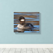 Sweet Bufflehead Duck op Sunlit Watts Canvas Afdruk (Insitu (Houten vloer))