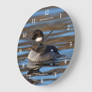 Sweet Bufflehead Duck op Sunlit Watts Grote Klok