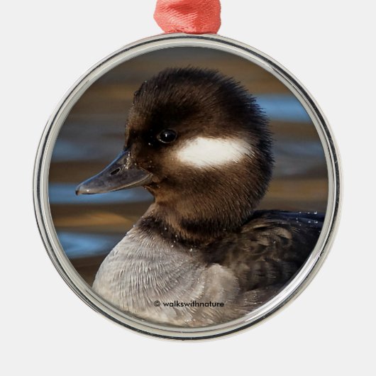 Sweet Bufflehead Duck op Sunlit Watts Metalen Ornament (Voorkant)