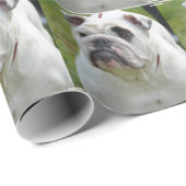 Sweet Bulldog Cadeaupapier (Rol Hoek)