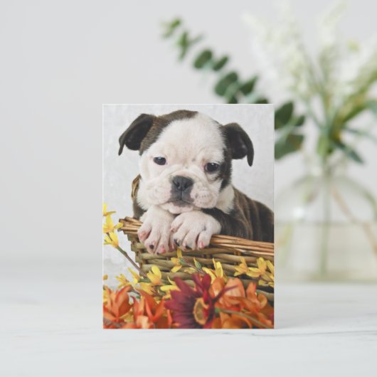 Sweet Bulldog Puppy Briefkaart (Staand voorkant)