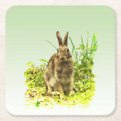 Sweet Bunny Rabbit in Grass Paper Onderzetters (Voorkant)