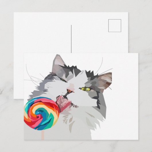 Sweet Cat Briefkaart (Voorkant / Achterkant)