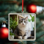 Sweet Cat Ornament