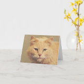 Sweet Cat wordt snel beter Kaart (Gele Bloem)