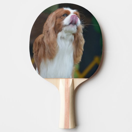 Sweet Cavalier King Charles Spaniel Tafeltennisbatje (Voorkant)