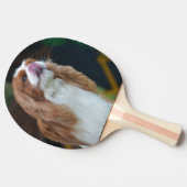 Sweet Cavalier King Charles Spaniel Tafeltennisbatje (Zijkant)