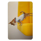 Sweet Charlie Chihuahua Magneet (Verticaal)
