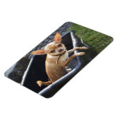 Sweet Charlie Chihuahua Magneet (Linkerzijde)