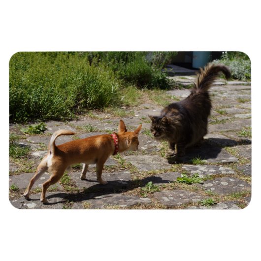 Sweet Charlie Chihuahua Magneet (Horizontaal)