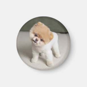 Sweet Charming Pom Unique Magnet