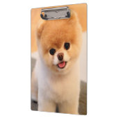 Sweet Charming Pomeranian Klembord (Links)