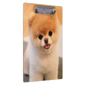 Sweet Charming Pomeranian Klembord (Rechts)