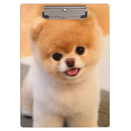 Sweet Charming Pomeranian Klembord