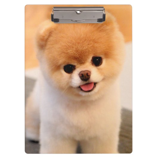 Sweet Charming Pomeranian Klembord (Voorkant)