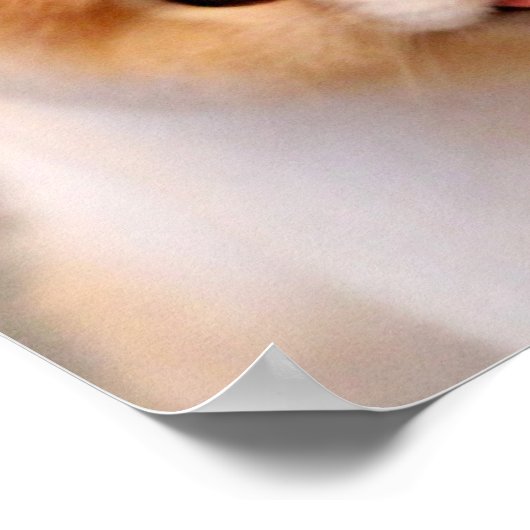 Sweet Charming Pomeranian Unique Poster (Hoek)