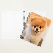 Sweet Charming Pommeren Unieke Planner (Display)