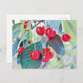 Sweet Cherries Briefkaart (Voorkant / Achterkant)