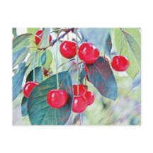 Sweet Cherries Briefkaart